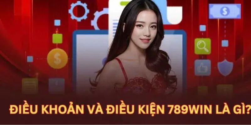 Trách nhiệm người dùng và nhà cái trong điều khoản điều kiện